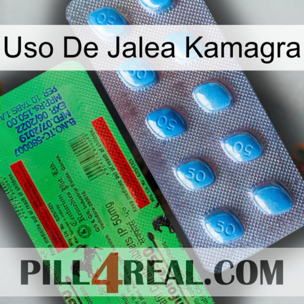 Kamagra Jelly Use new03.jpg